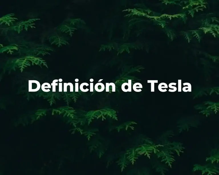 Definición de Tesla