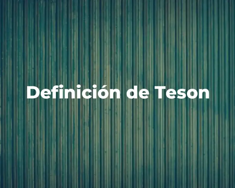 Definición de Teson