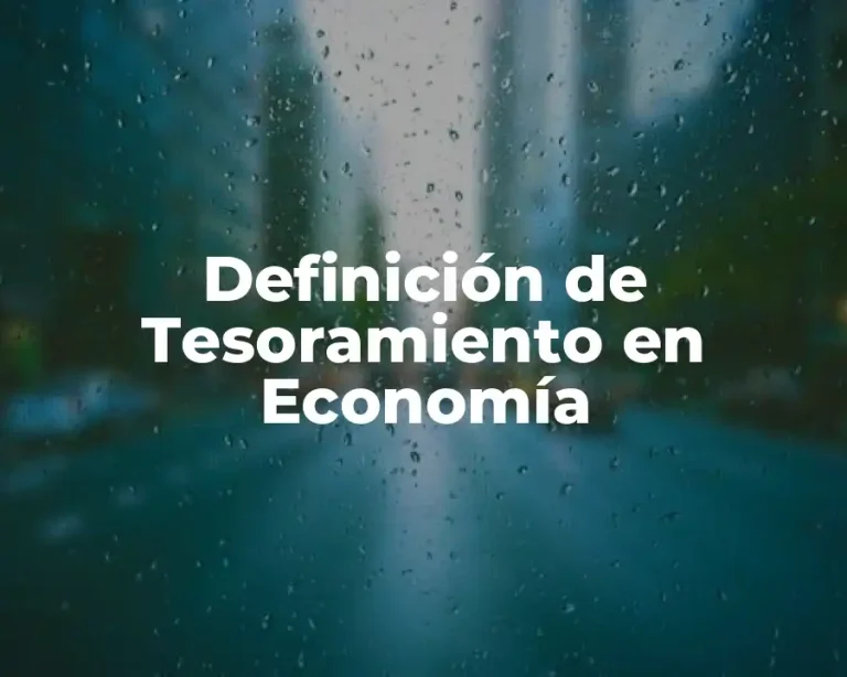 Definición de Tesoramiento en Economía
