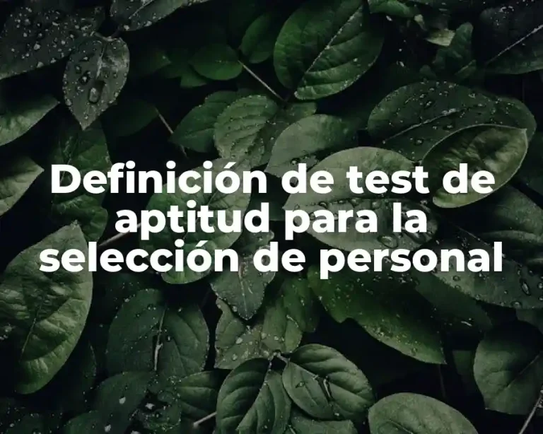 Definición de test de aptitud para la selección de personal