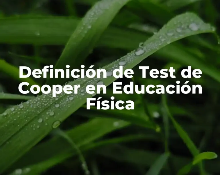 Definición de Test de Cooper en Educación Física
