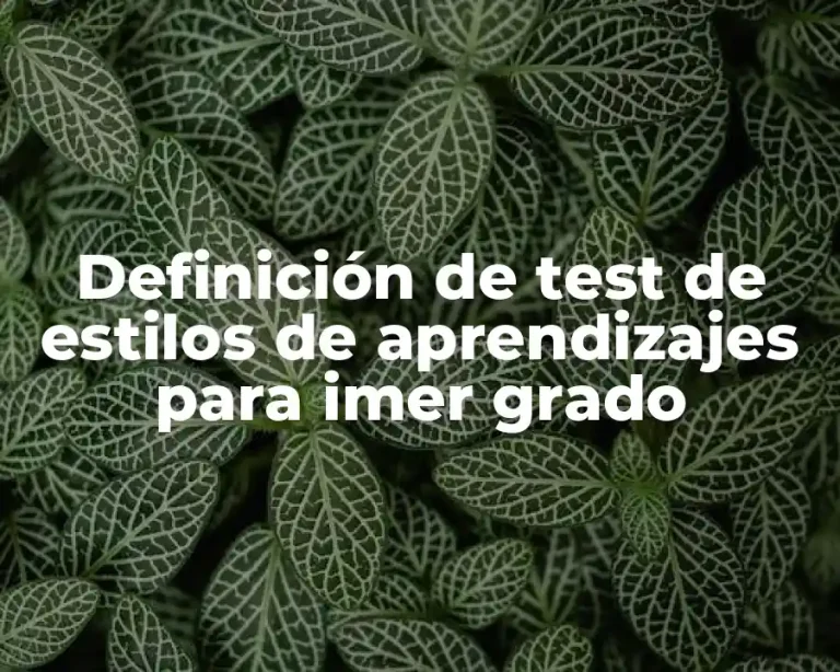 Definición de test de estilos de aprendizajes para imer grado