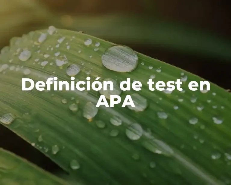 Definición de test en APA