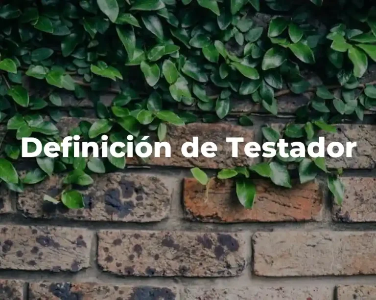 Definición de Testador
