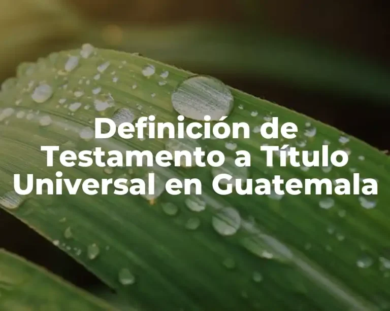 Definición de Testamento a Título Universal en Guatemala