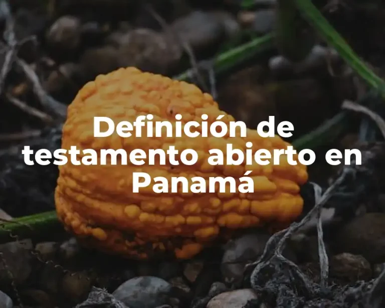 Definición de testamento abierto en Panamá