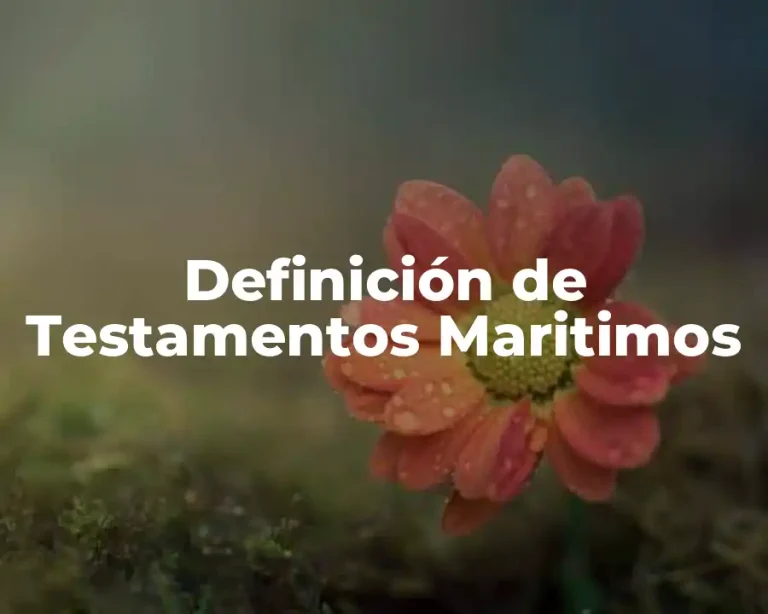 Definición de Testamentos Maritimos