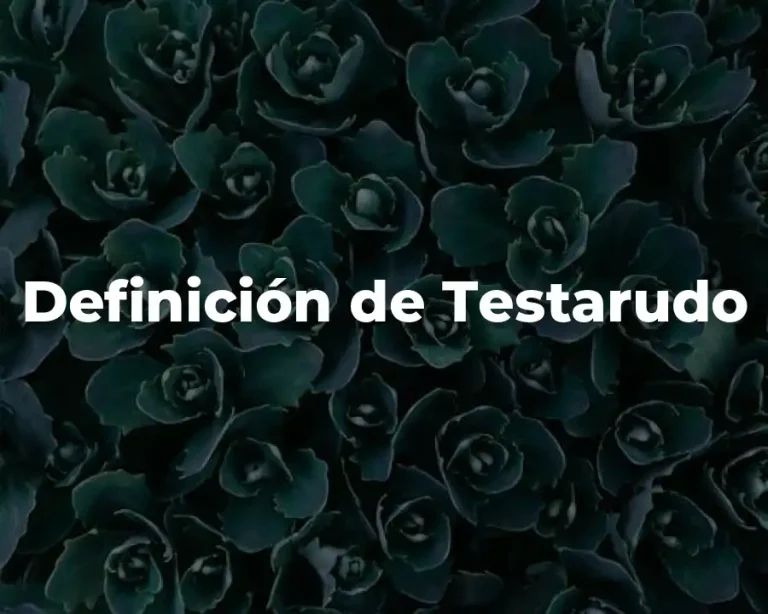 Definición de Testarudo