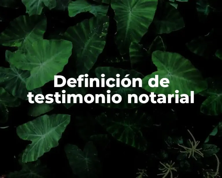 Definición de testimonio notarial