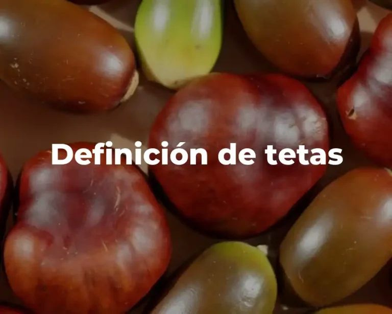 Definición de tetas