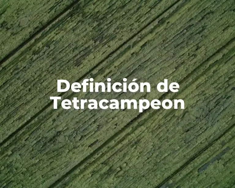 Definición de Tetracampeon