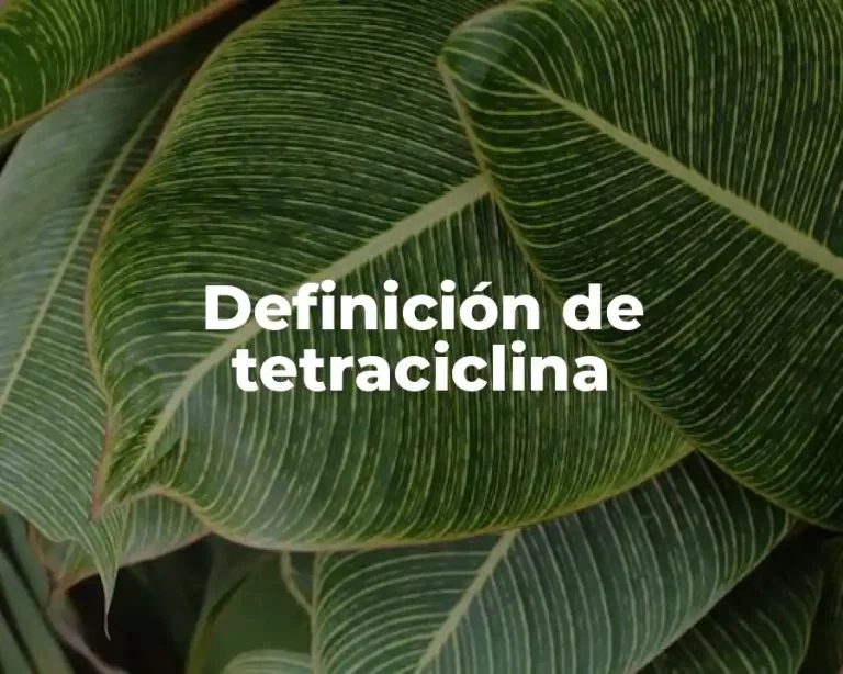 Definición de tetraciclina