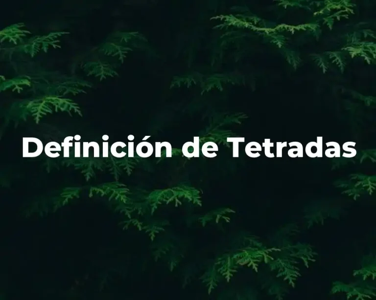 Definición de Tetradas