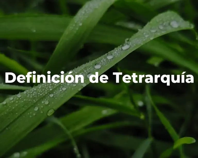 Definición de Tetrarquía