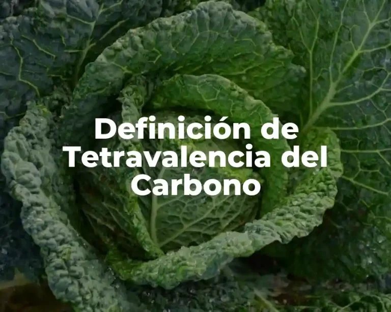 Definición de Tetravalencia del Carbono