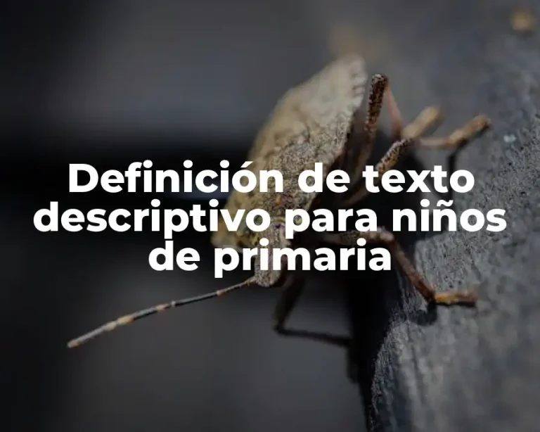 Definición de texto descriptivo para niños de primaria