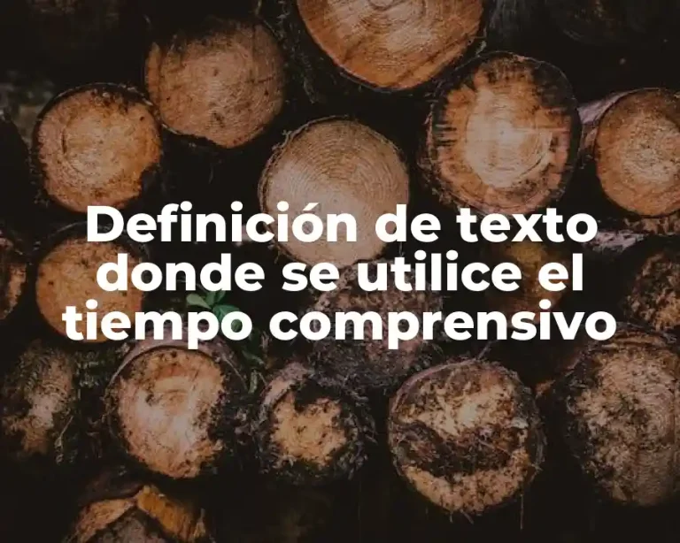 Definición de texto donde se utilice el tiempo comprensivo