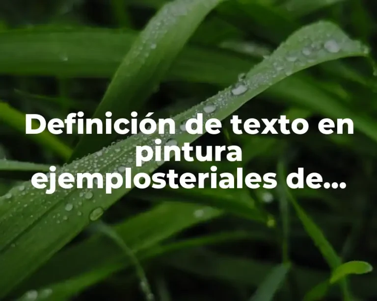 Definición de texto en pintura ejemplosteriales de textura