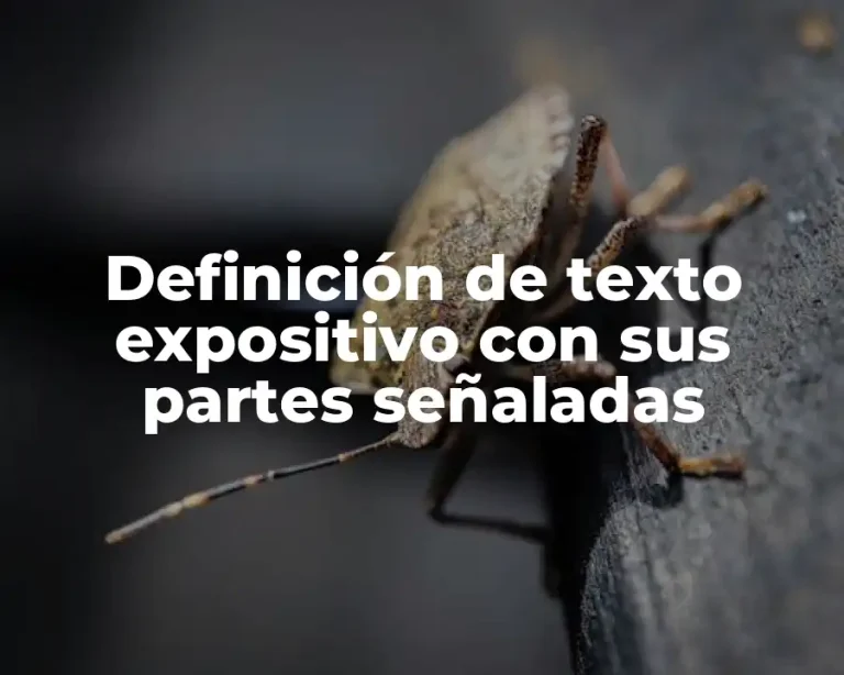 Definición de texto expositivo con sus partes señaladas