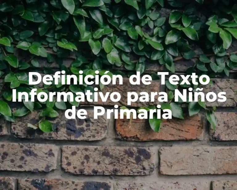 Definición de Texto Informativo para Niños de Primaria