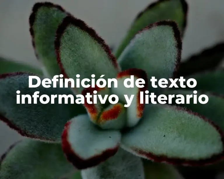 Definición de texto informativo y literario