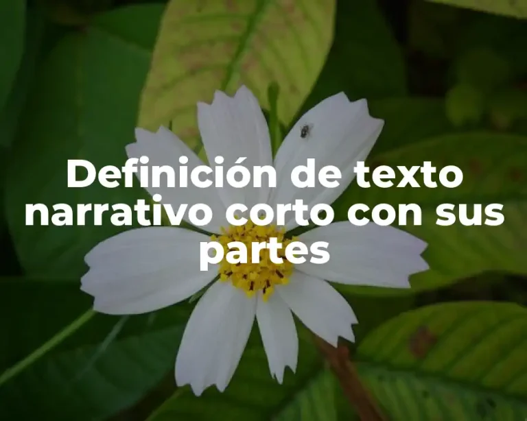 Definición de texto narrativo corto con sus partes
