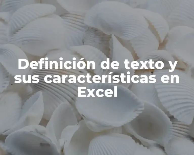 Definición de texto y sus características en Excel