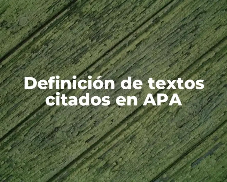 Definición de textos citados en APA