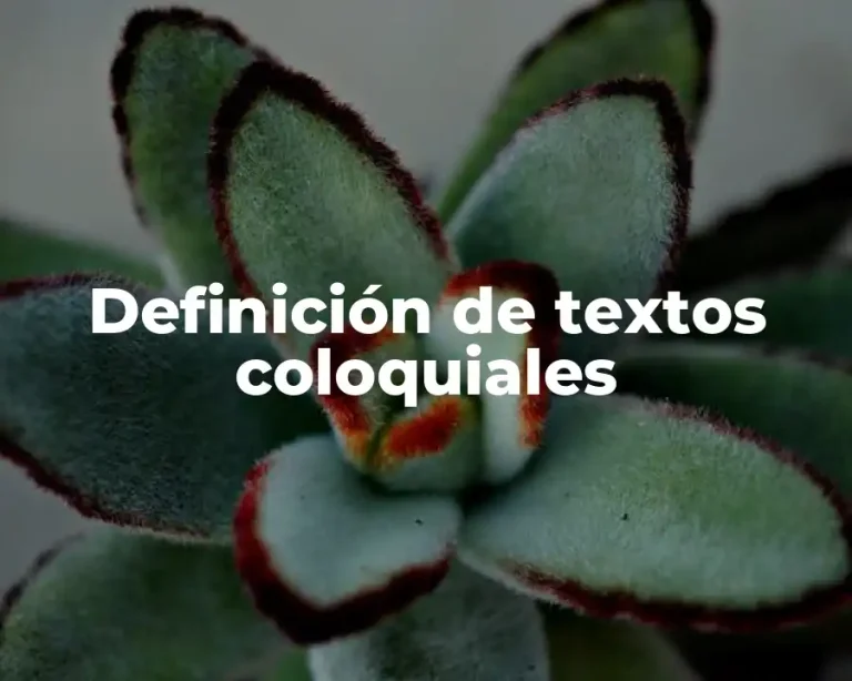 Definición de textos coloquiales