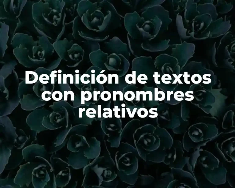 Definición de textos con pronombres relativos