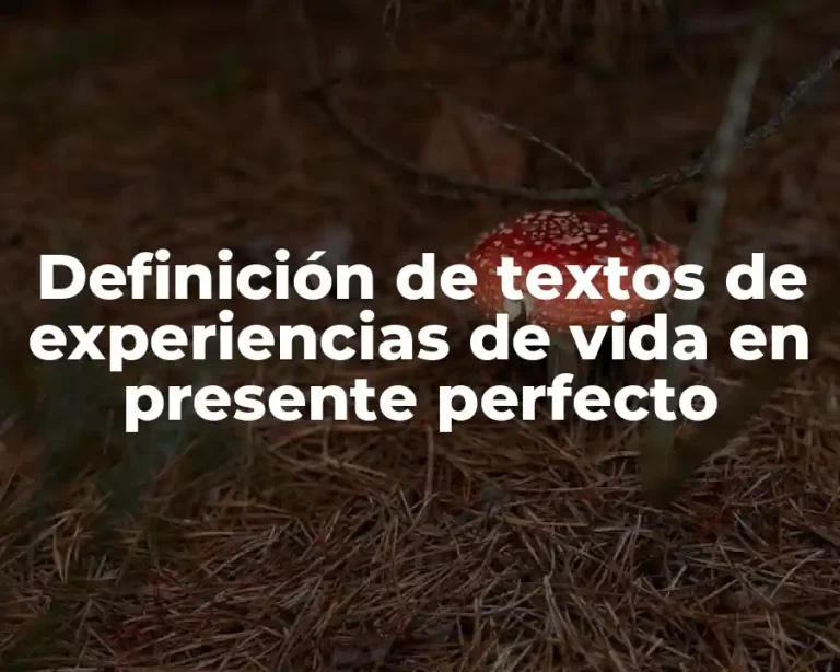 Definición de textos de experiencias de vida en presente perfecto