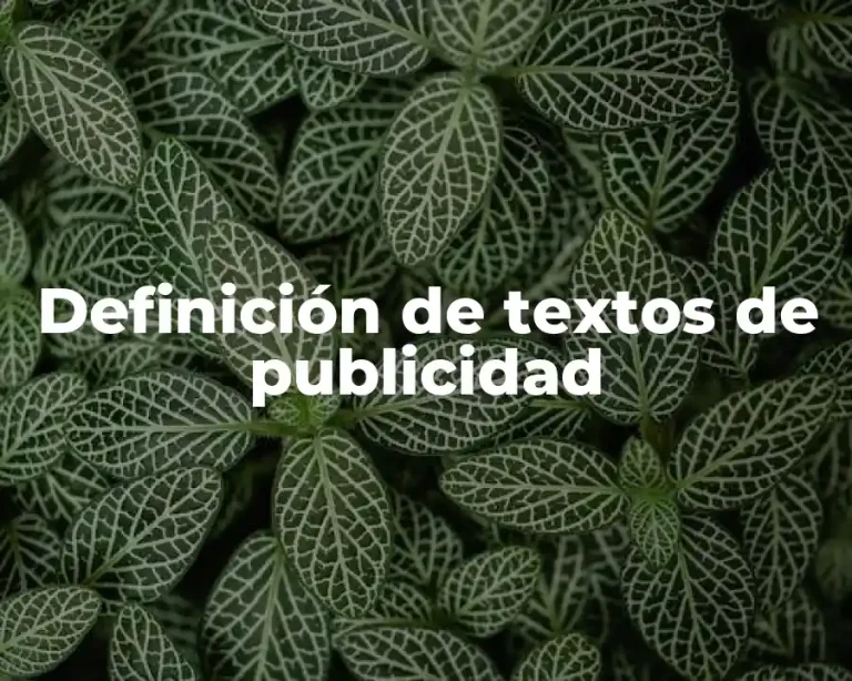 Definición de textos de publicidad