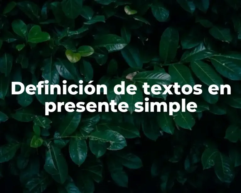 Definición de textos en presente simple