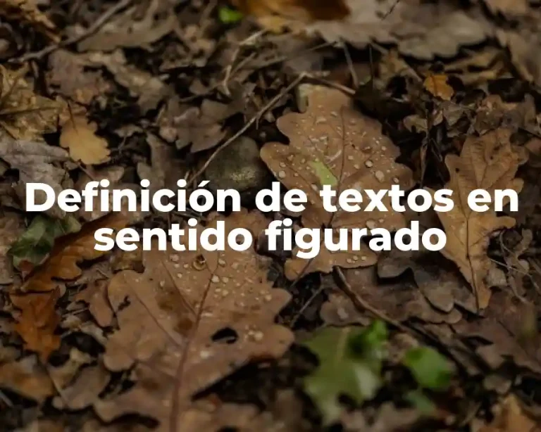 Definición de textos en sentido figurado