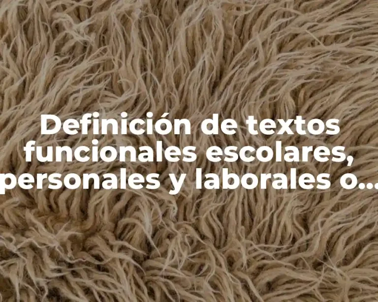 Definición de textos funcionales escolares, personales y laborales o sociales