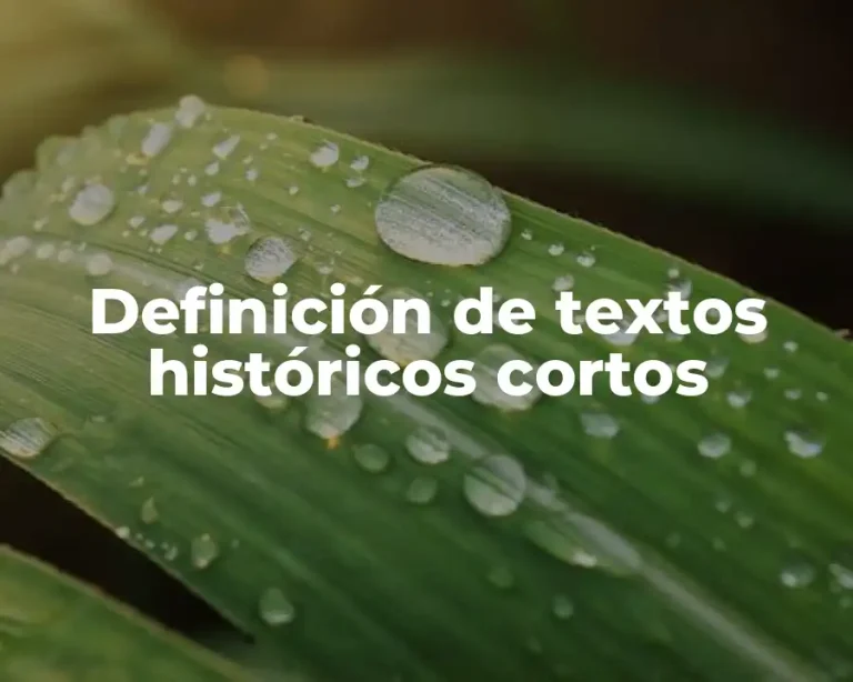 Definición de textos históricos cortos