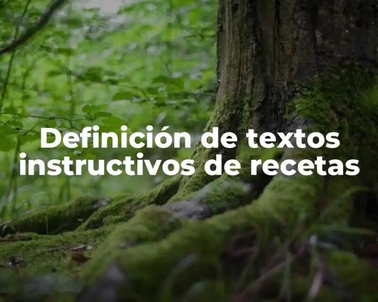 Definición de textos instructivos de recetas