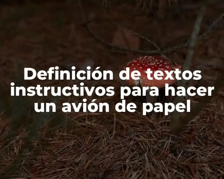 Definición de textos instructivos para hacer un avión de papel