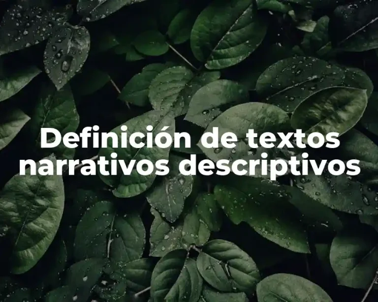 Definición de textos narrativos descriptivos