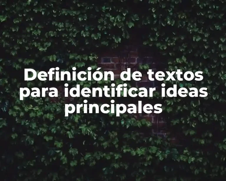 Definición de textos para identificar ideas principales