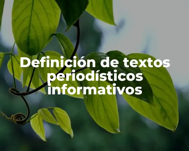 Definición de textos periodísticos informativos