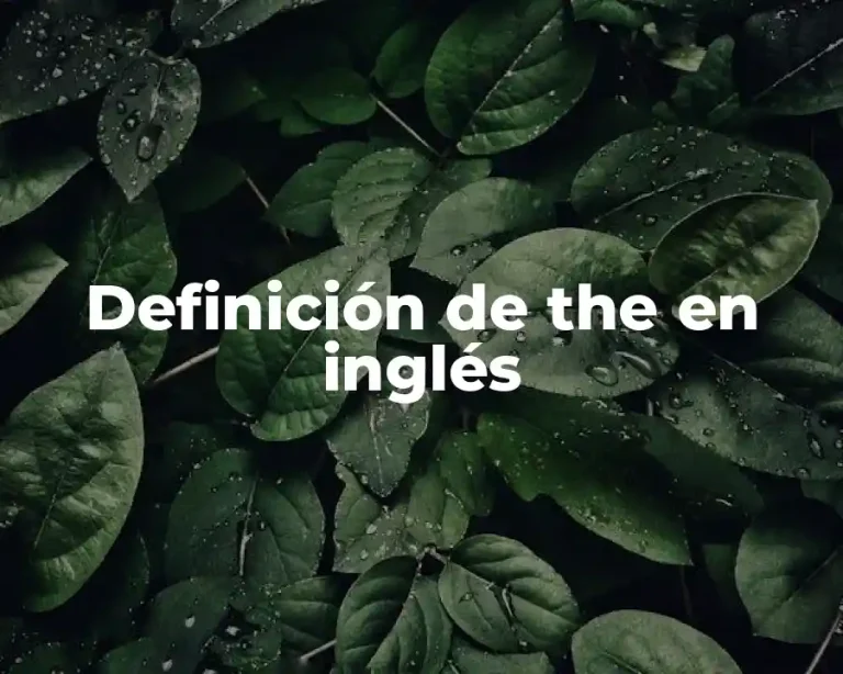 Definición de the en inglés