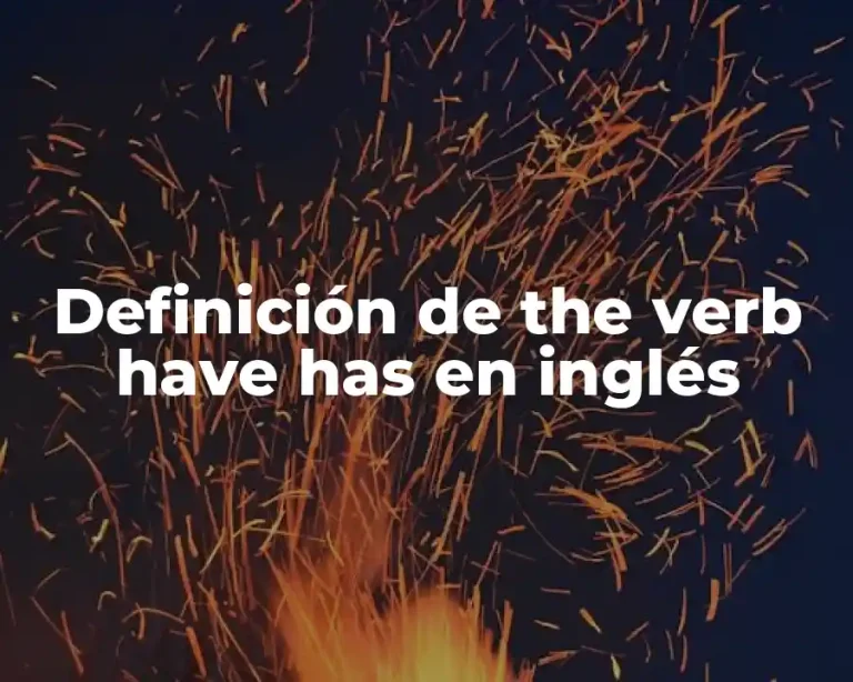 Definición de the verb have has en inglés