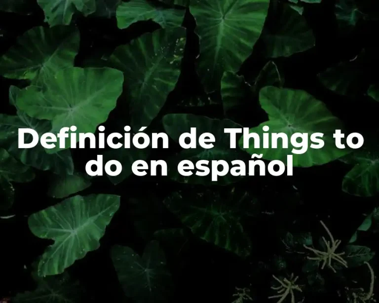 Definición de Things to do en español