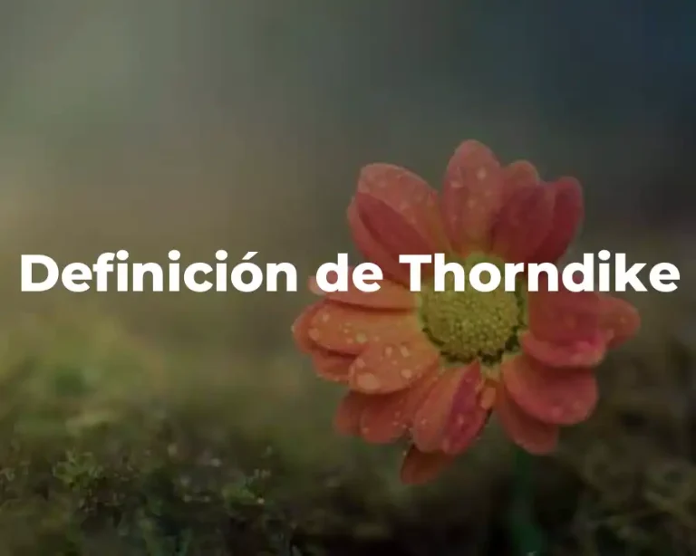 Definición de Thorndike