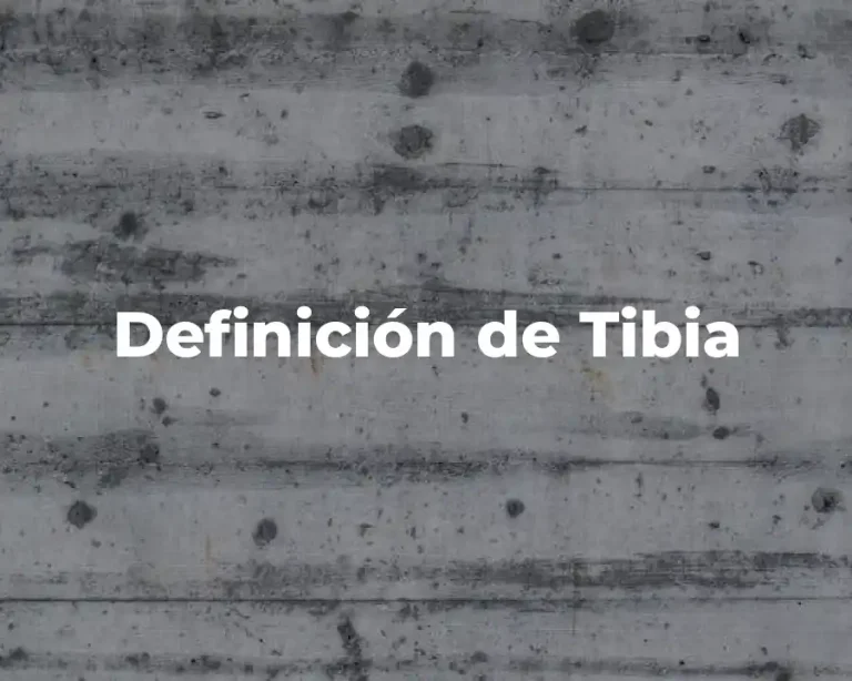 Definición de Tibia