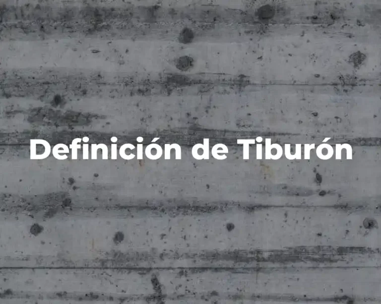 Definición de Tiburón