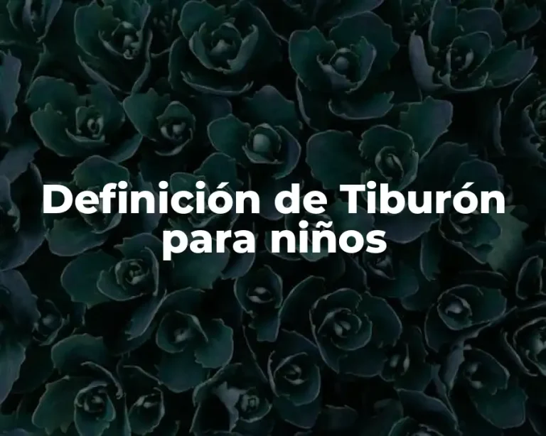 Definición de Tiburón para niños