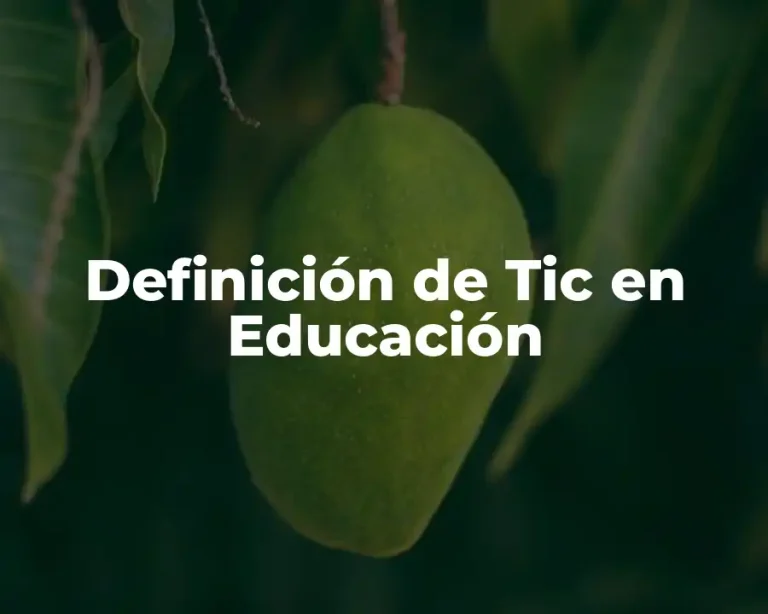 Definición de Tic en Educación