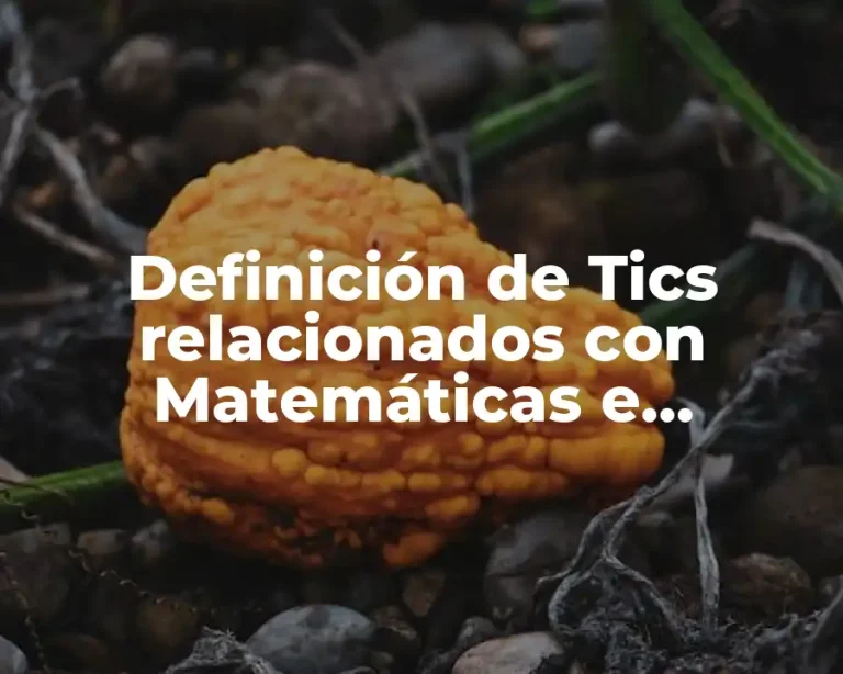 Definición de Tics relacionados con Matemáticas e Informática